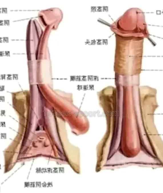 Iris 專業手勢好 (2)